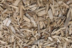 biomass boilers Leorin